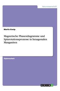 Magnetische Phasendiagramme und Spinrotationsprozesse in hexagonalen Manganiten