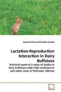 Lactation-Reproduction Interaction in Dairy Buffaloes