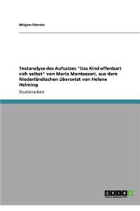 Textanalyse des Aufsatzes 