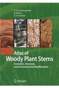 Atlas of Woody Plant Stems