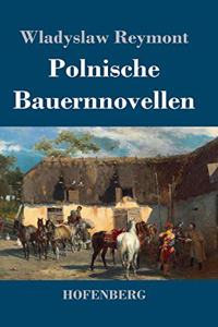 Polnische Bauernnovellen