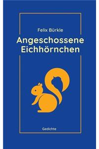 Angeschossene Eichhörnchen