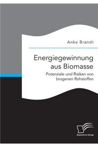 Energiegewinnung aus Biomasse. Potenziale und Risiken von biogenen Rohstoffen