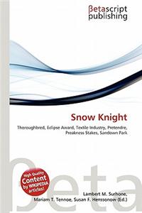 Snow Knight