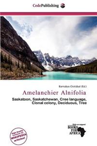 Amelanchier Alnifolia