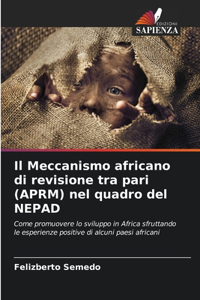 Meccanismo africano di revisione tra pari (APRM) nel quadro del NEPAD