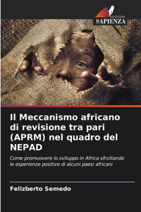 Il Meccanismo africano di revisione tra pari (APRM) nel quadro del NEPAD