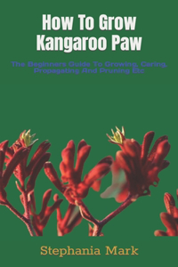 How To Grow Kangaroo Paw