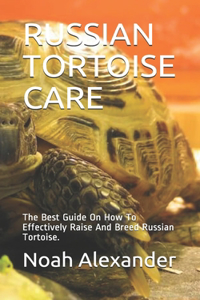 Russian Tortoise Care