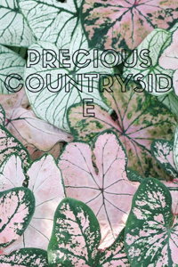 Precious countryside