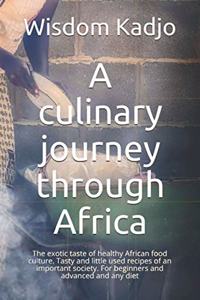 culinary journey through Africa