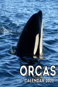 Orcas Calendar 2021