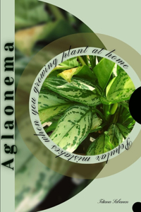 Aglaonema