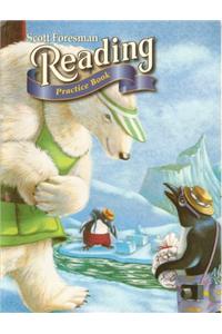 Reading 2004 Practice Book Grade 1.3