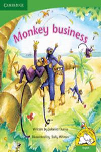 Monkey business Monkey business