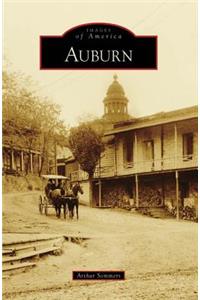 Auburn