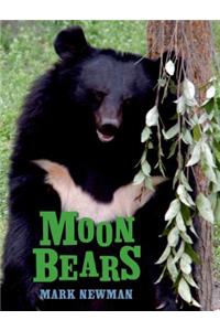 Moon Bears