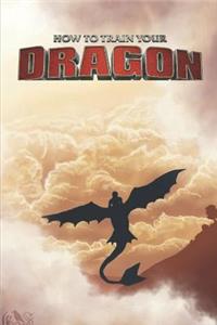 How to train your Dragon
