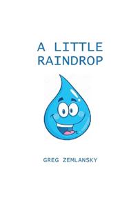 Little Raindrop