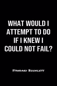 What Would I Attempt To Do If I Knew I Could Not Fail?