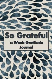 So Grateful 12 Week Gratitude Journal
