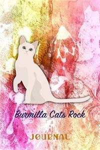 Burmilla Cats Rock