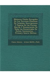 Moluscos Fósiles Recogidos En Los Terrenos Pliocenos De Cataluña