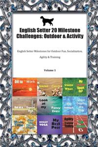 English Setter 20 Milestone Challenges