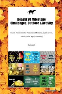 Beaski 20 Milestone Challenges