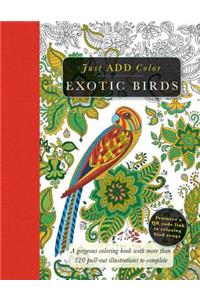 Exotic Birds