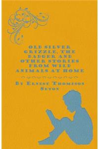 Old Silver Grizzle, The Badger and Other Stories from Wild Animals at Home