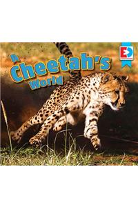 Cheetah's World