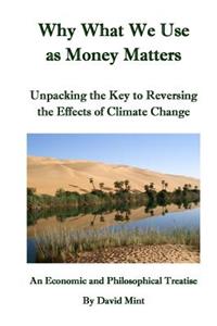 Why What We Use as Money Matters
