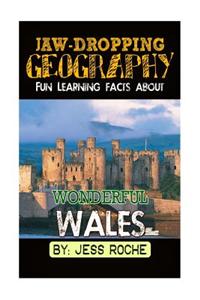 Jaw-Dropping Geography: Fun Learning Facts about Wonderful Wales: Illustrated Fun Learning for Kids