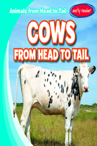 Cows from Head to Tail