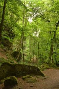 Echternach Luxembourg Forest Journal