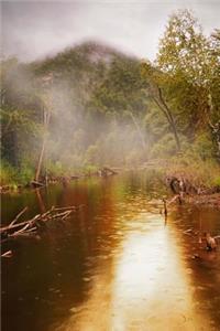 Forest Rain Journal