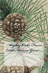 Mighty Oaks From Little Acorns Grow.....