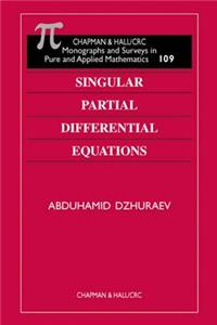 Singular Partial Differential Equations
