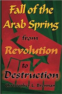 Fall of the Arab Spring