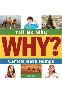 Camels Have Humps