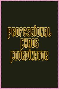 Professional Chaos Coordinator