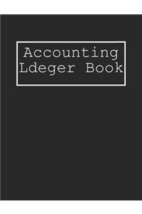 Accounting Ledger Book