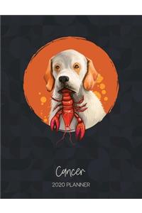 Cancer 2020 Planner