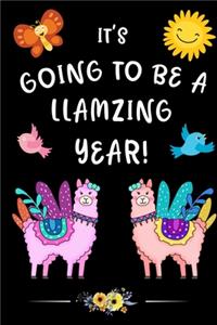 It's Going To Be A Llamazing Year!
