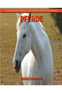 Pferde