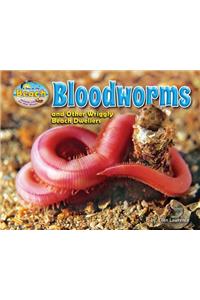 Bloodworms and Other Wriggly Beach Dwellers