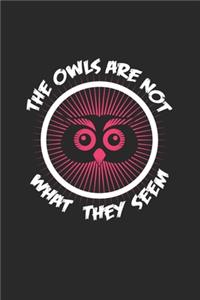 The Owls