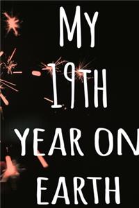 My 19th Year On Earth