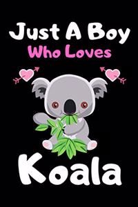 Just a boy who loves koala